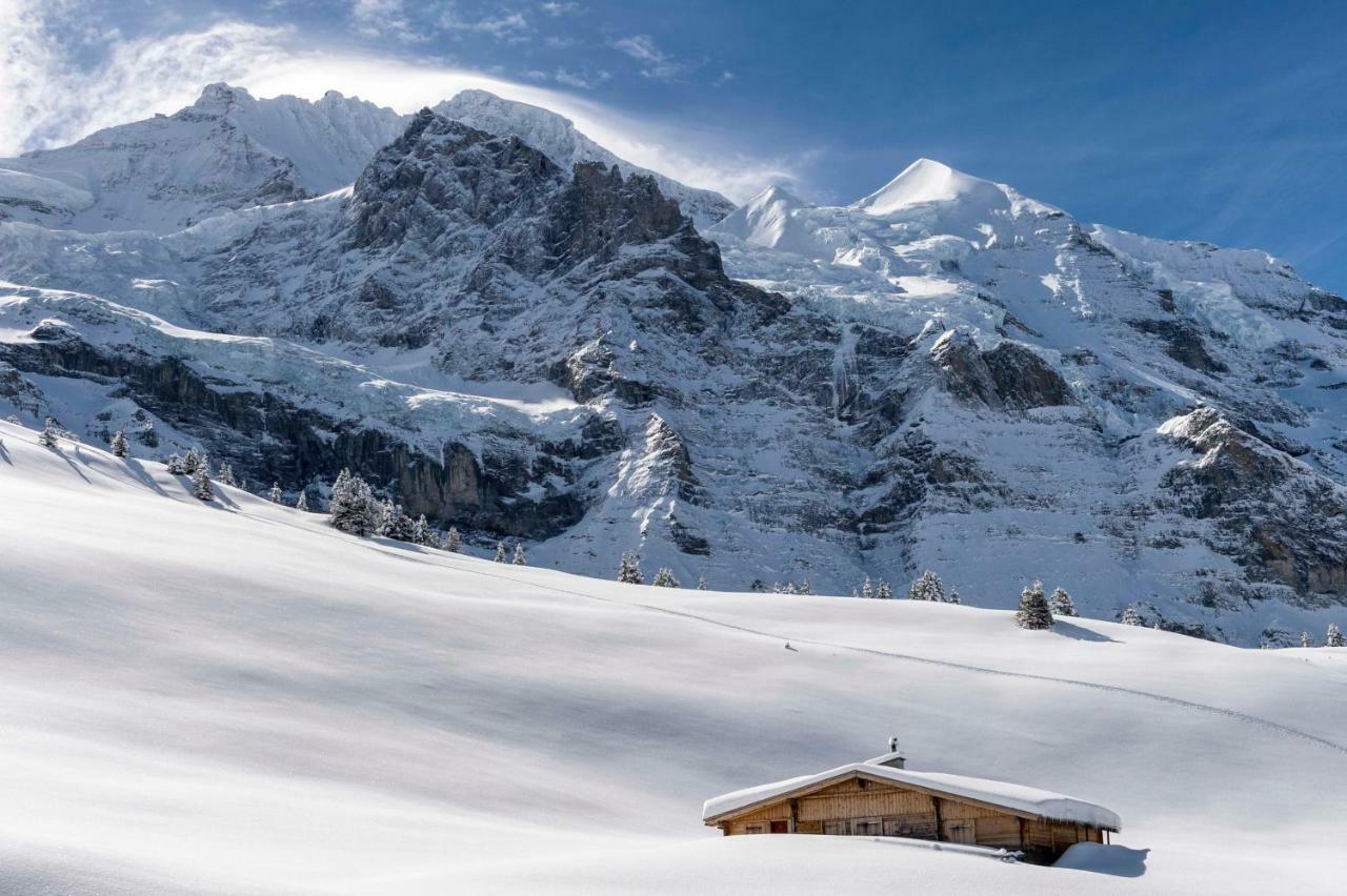 Appartement O 68 Haus Bel Air à Wengen Extérieur photo