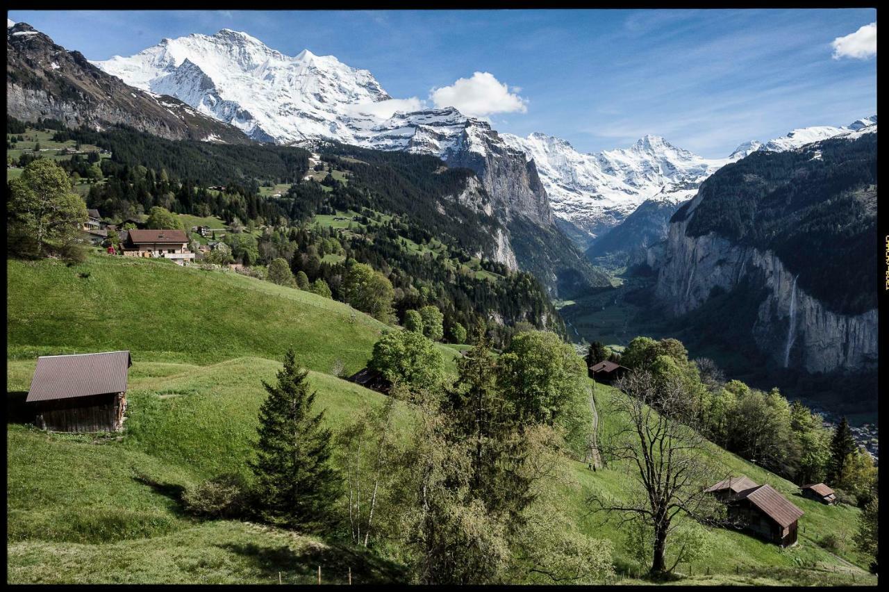 Appartement O 68 Haus Bel Air à Wengen Extérieur photo