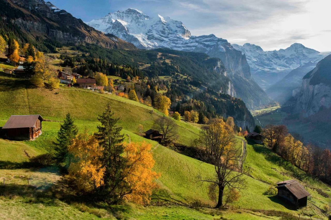 Appartement O 68 Haus Bel Air à Wengen Extérieur photo